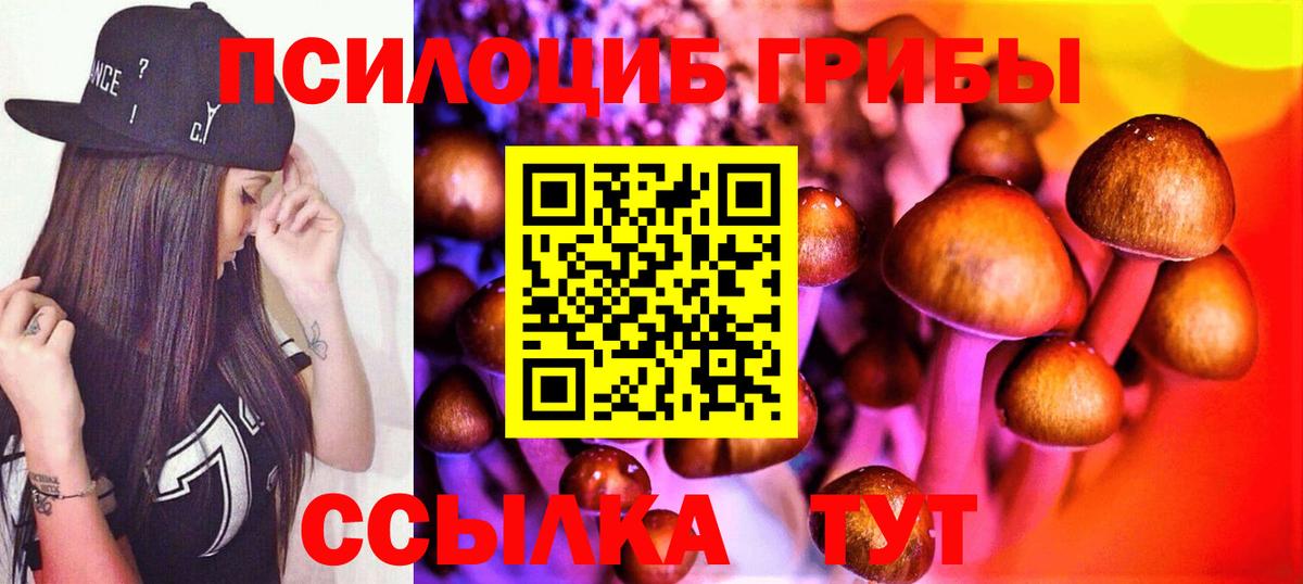 Псилоцибиновые грибы MAGIC MUSHROOMS Волхов