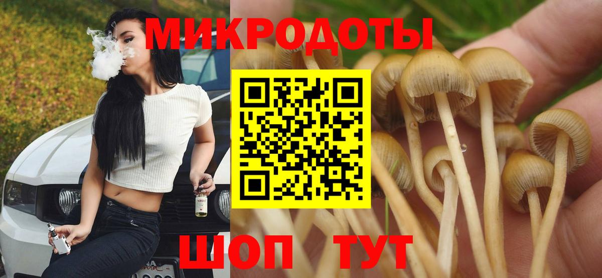 Волхов  Галлюциногенные грибы Psilocybe  Вход с VPN 